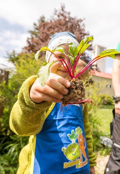Kinder am Beet bei