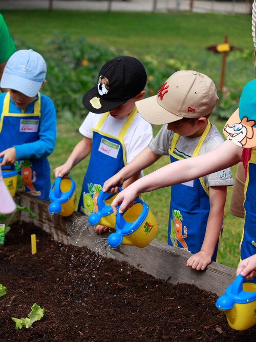 Kita-Kinder gießen die neu gepflanzten Setzlinge im Hochbeet bei 