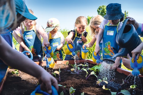 Viele Kita-Kinder stehend mit blau-gelben Schürzen um ein Hochbeet herum und gießen die neu gepflanzten Setzlinge darin.
