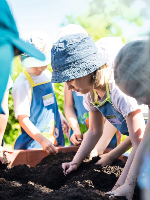 Kita-Kinder graben mit den Händen die Erde in einem Hochbeet um bei 