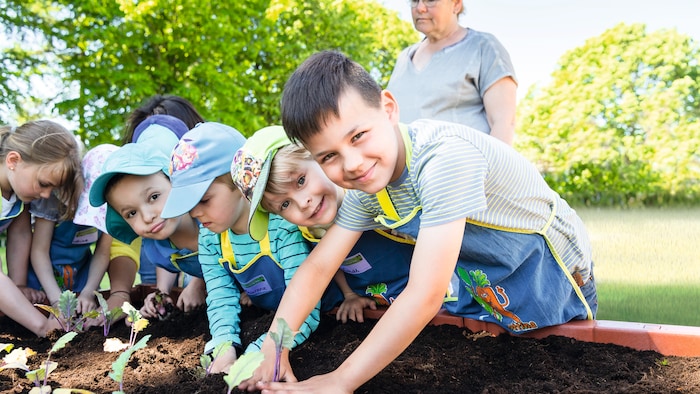 Kita-Kinder stehen um ein Hochbeet herum und pflanzen Setzlinge ein bei 