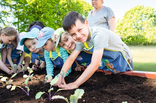 Kita-Kinder stehen um ein Hochbeet herum und pflanzen Setzlinge ein bei 