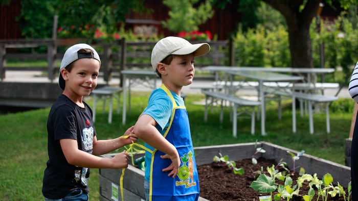 EDEKA Stiftung: Wir möchten, dass Vorschulkinder ihr eigenes Gemüse säen, pflegen, ernten und gemeinsam essen.