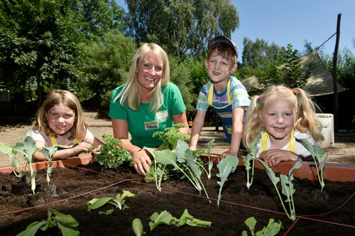 Gemüsebeete für Kids – Ein Projekt der EDEKA Stiftung