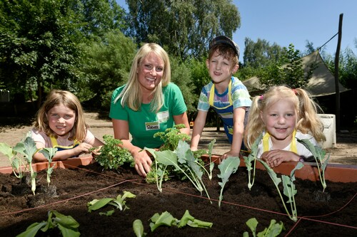 Gemüsebeete für Kids – Ein Projekt der EDEKA Stiftung