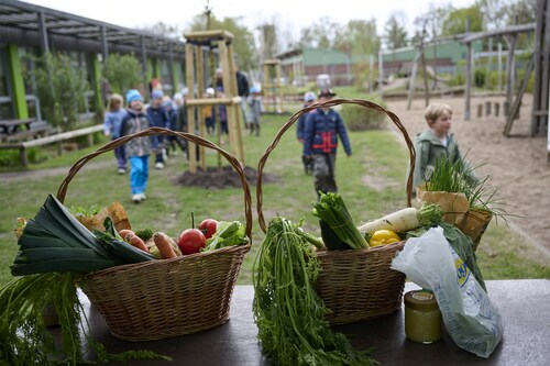Kita-Kinder kommen zur Anpflanz-Aktion von 