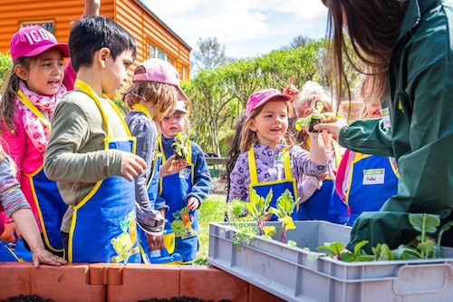 Ein Teammitglied der EDEKA Stiftung zeigt Kita-Kindern am Hochbeet die einzupflanzenden Setzlinge bei 