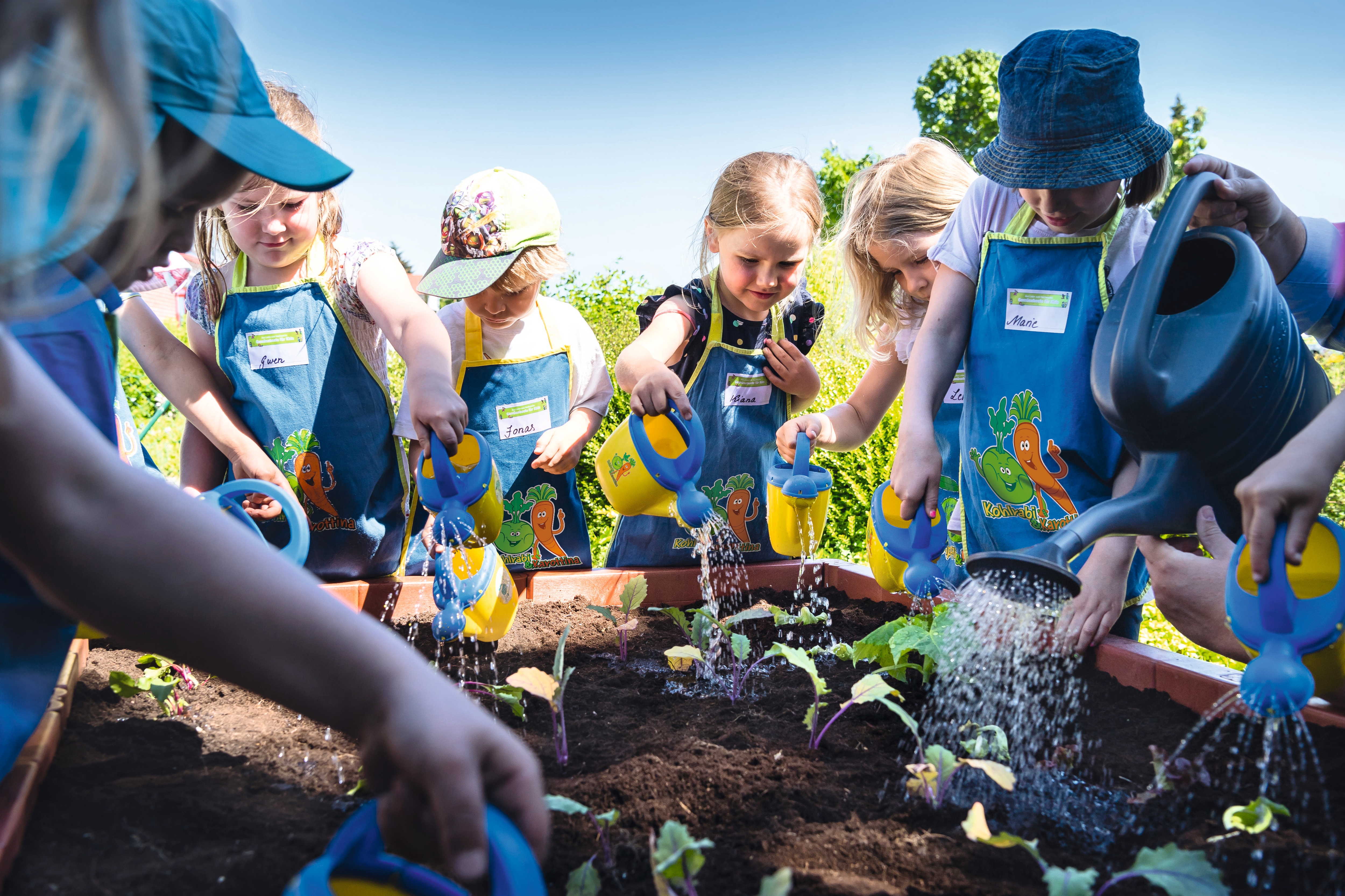 Viele Kita-Kinder stehend mit blau-gelben Schürzen um ein Hochbeet herum und gießen die neu gepflanzten Setzlinge darin.