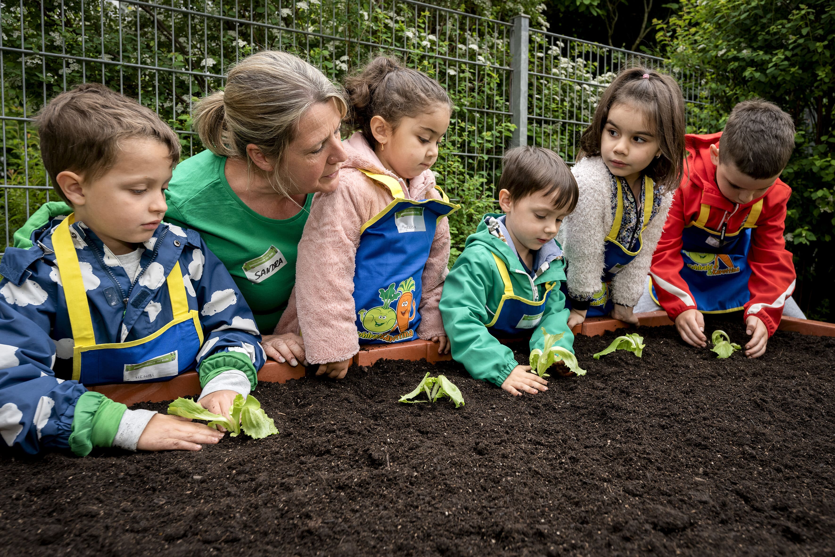 Kita-Kinder und ein Teammitglied der EDEKA Stiftung beobachten am Hochbeet, wie ein Junge einen Setzling einpflanzt.