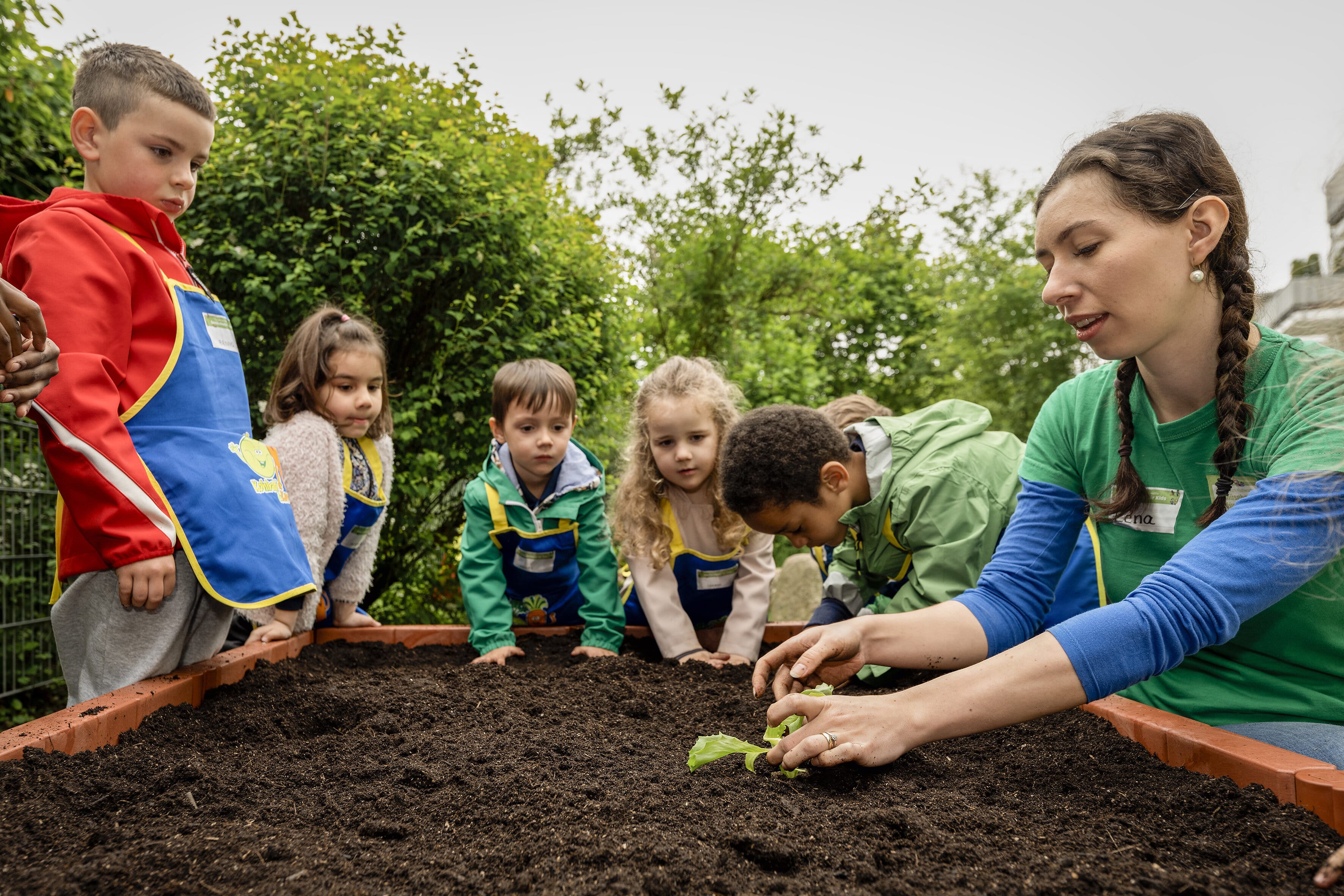 Ein Teammitglied der EDEKA Stiftung zeigt Kita-Kindern bei "Gemüsebeete für Kids", wie Setzlinge eingepflanzt werden.